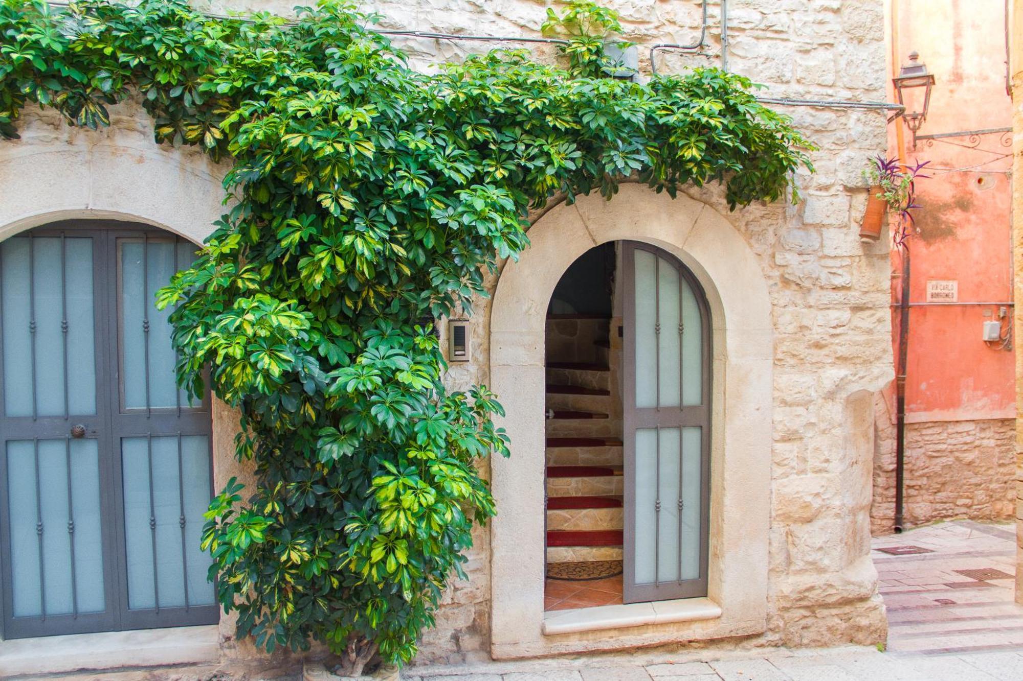 Palo Del Colle Ierva Chiain, Guest House מראה חיצוני תמונה