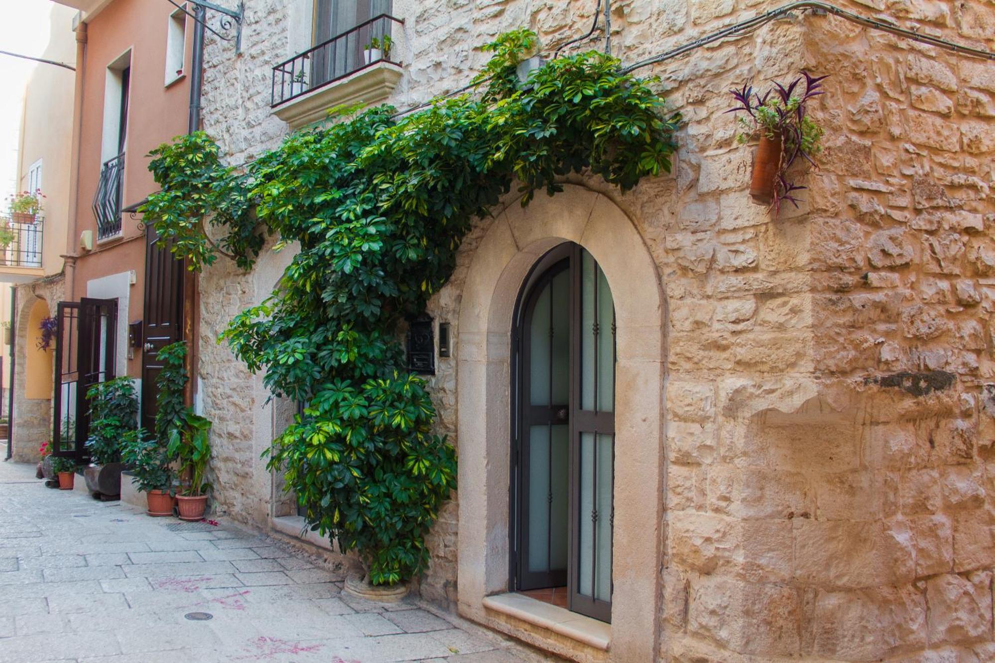 Palo Del Colle Ierva Chiain, Guest House מראה חיצוני תמונה